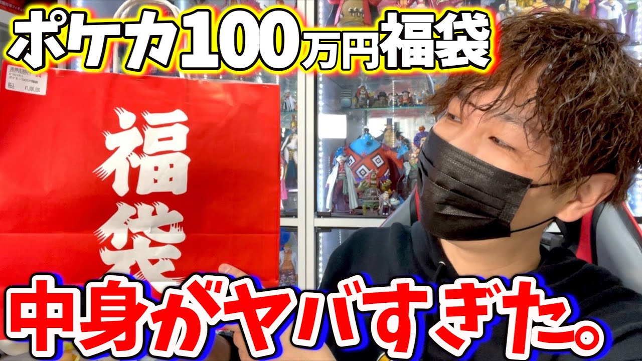 動画紹介 言葉が出ない 100万円のポケモンカード福袋買ったら中身がヤバ過ぎた ポケカ ポケカ生活100 ポケモンカード 攻略まとめ速報